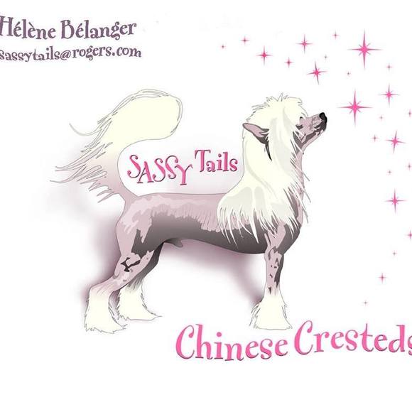 sassytails